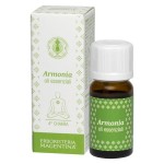 Смесь эфирных масел, Erboristeria Magentina (Эрбористериа Маджентина) 10 мл 4 чакра