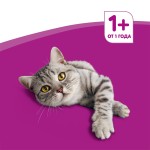 Корм для кошек влажный, Whiskas (Вискас) 85 г 28 шт от 1 года желе с курицей пауч