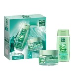 Набор подарочный, Чистая линия 100 мл + 100 мл Ежедневный уход 2024 для комбинированной кожи с гиалуроном и алоэ вера - гель для умывания + гель-мультиуход 3в1 коробка